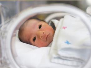 早产儿智力水平会正常吗,早产儿对智商影响