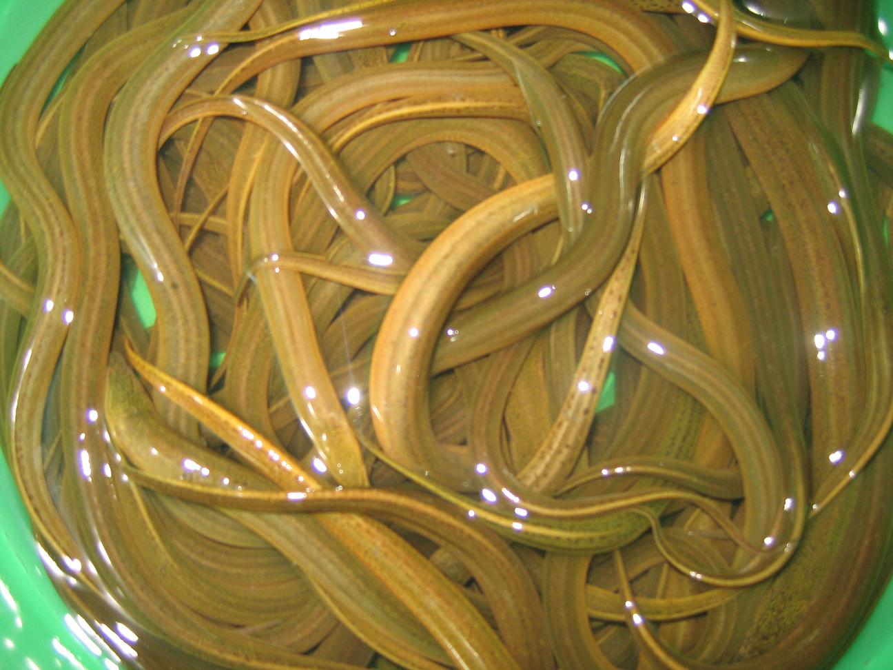 谈写作作文600字左右,谈作文写作的重要性