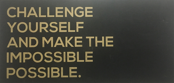 野兽自行车碳纤维变色龙,野兽碳纤维山地车官网