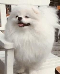 明明可以靠脸吃饭偏偏要靠球技,明明可以靠脸吃饭却偏偏要靠实力