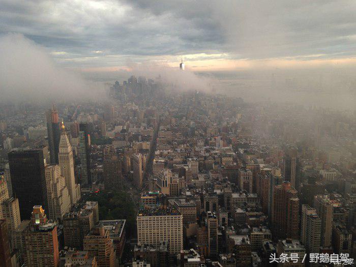 野鹅旅行,野鹅自驾无人区