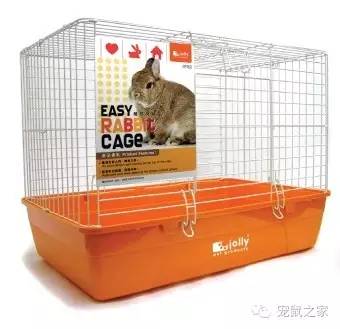 豚鼠各类饲养装备优缺点汇总之上篇