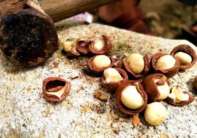 元江的特色美食有哪些 (元江美食干货)