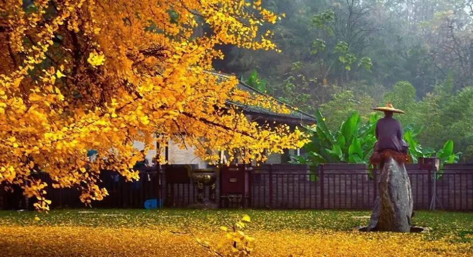 中国秋天最美的十个地方,秋天最美的旅游地点