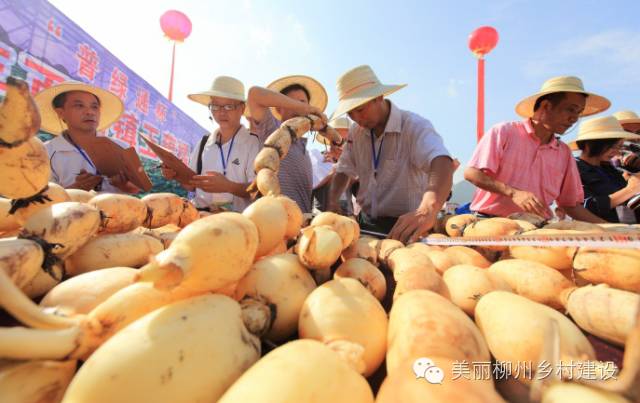 广西国庆柳州旅游攻略,柳州百里柳江哪里的风景最好