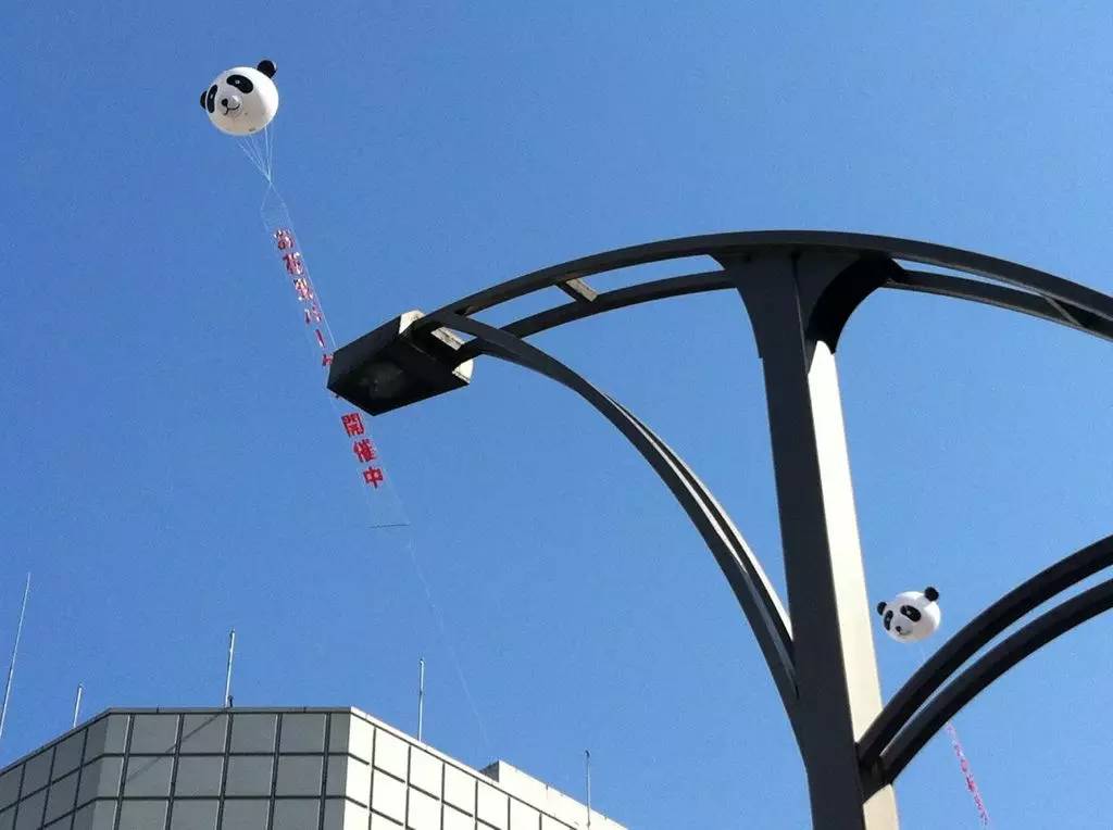 穷得只能吃白米粥,穷的只能吃狗粮了