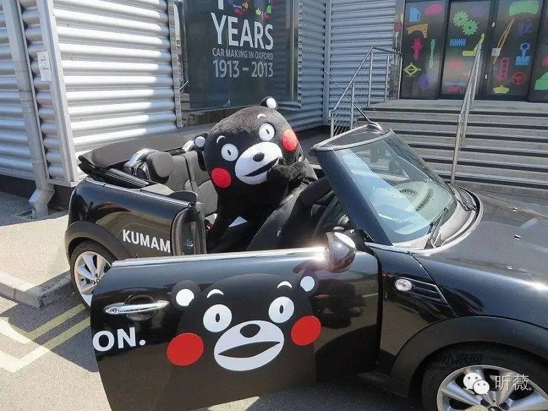 熊本熊发展历程,为什么是熊本熊