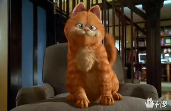 如果你是加菲，你会问吗？