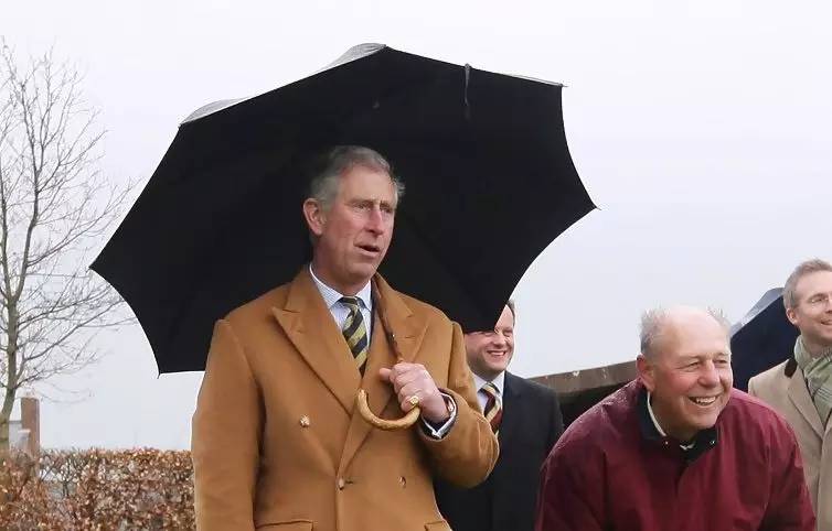 雨伞劳斯莱斯,雨伞中的劳斯莱斯是什么牌子