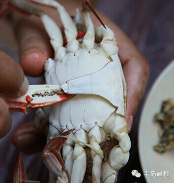 中秋适合吃大闸蟹么,中秋前要吃大闸蟹吗