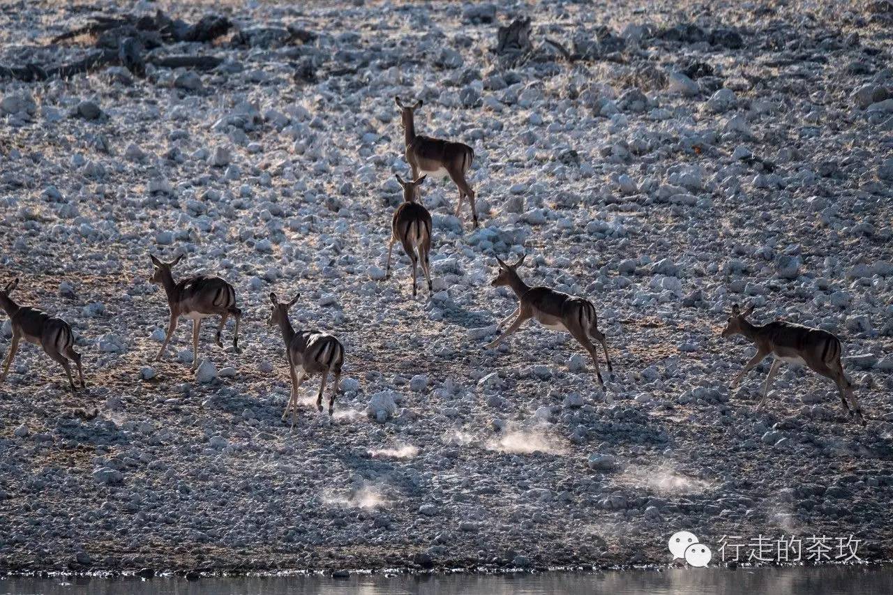约伴自驾新疆,约伴出行西藏旅游