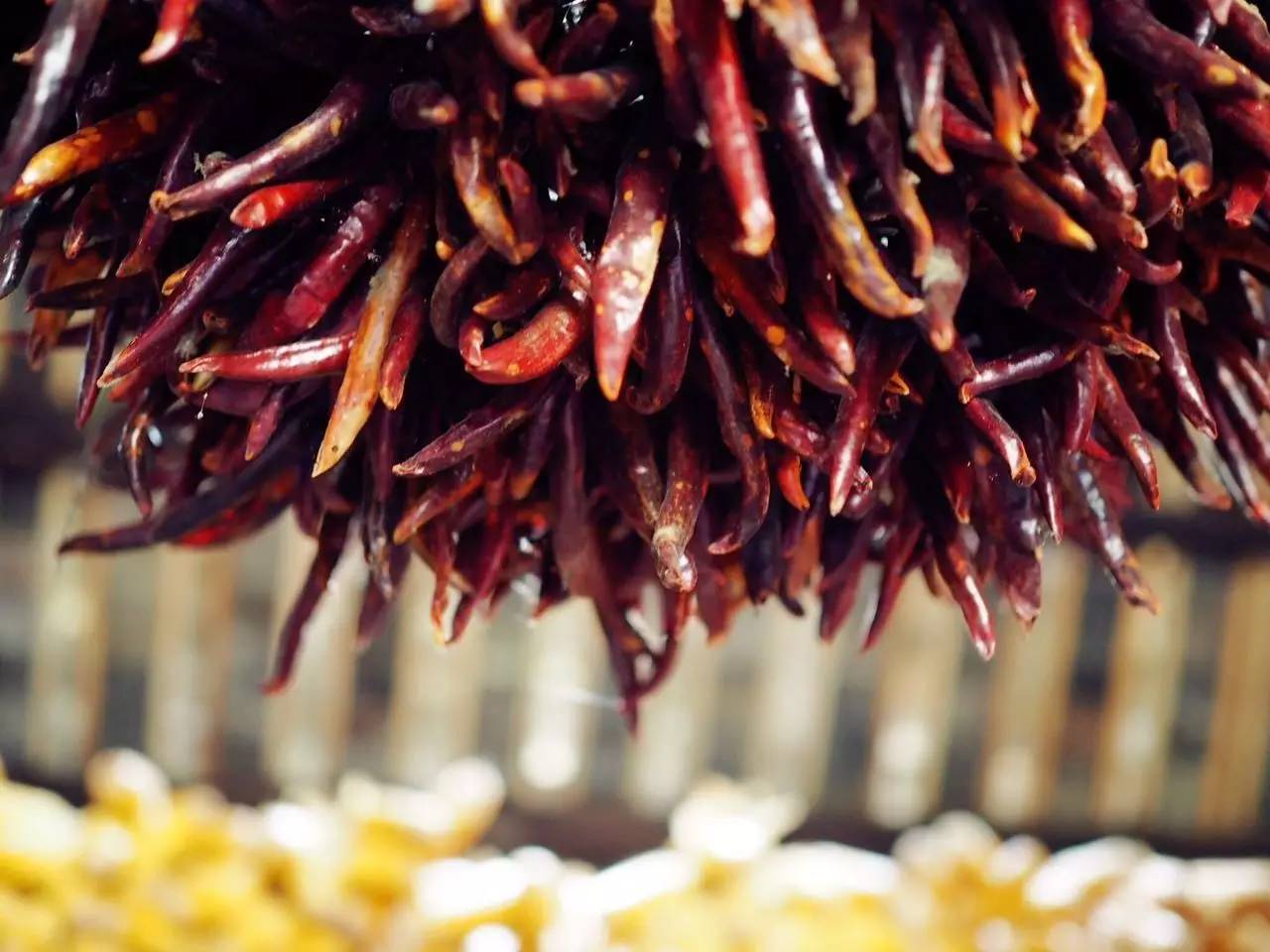 册亨布依族戏,册亨布依戏图片