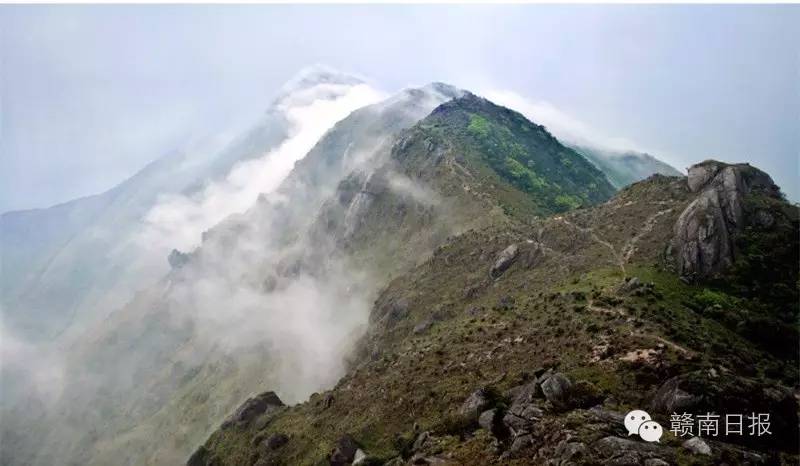 又有一大波旅游局长准备带大家“十一”玩转赣州
