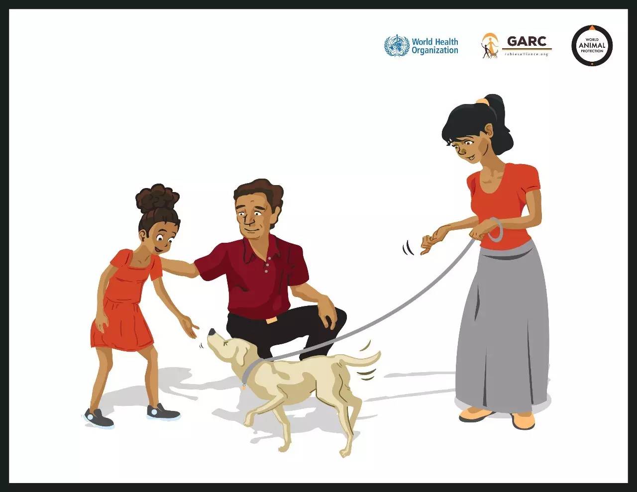 被狗咬预防方法,被狗咬了国际处理法