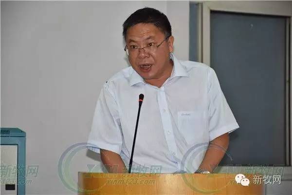 河南养猪业巨头,河南养猪身价百倍