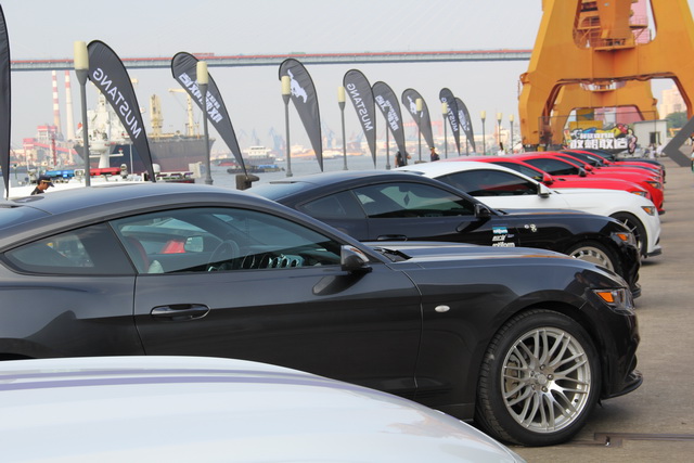 敢想敢ZaoMustang车主派对