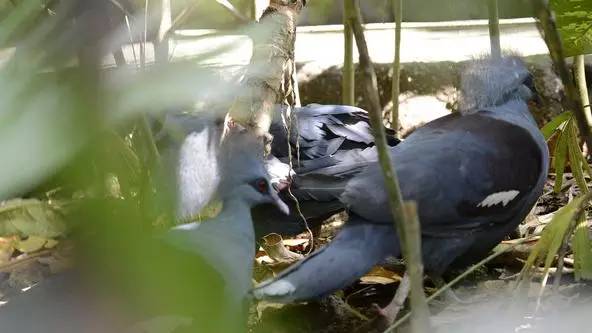 朋友圈发海边泳衣照好不好,朋友圈晒沙滩泳装