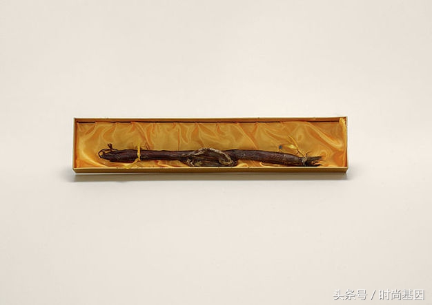 禁止食品进入的法律规定,禁止带入美国的中草药