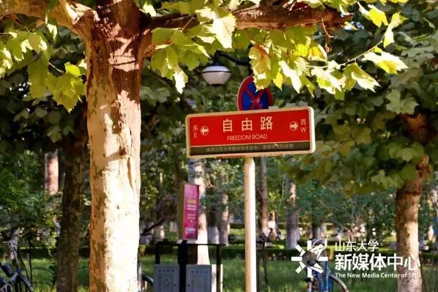 趣谈山大Mr.Road,你的名字从哪儿来？