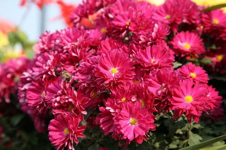 我写一首诗完美地告别九月，打开十月的那扇门