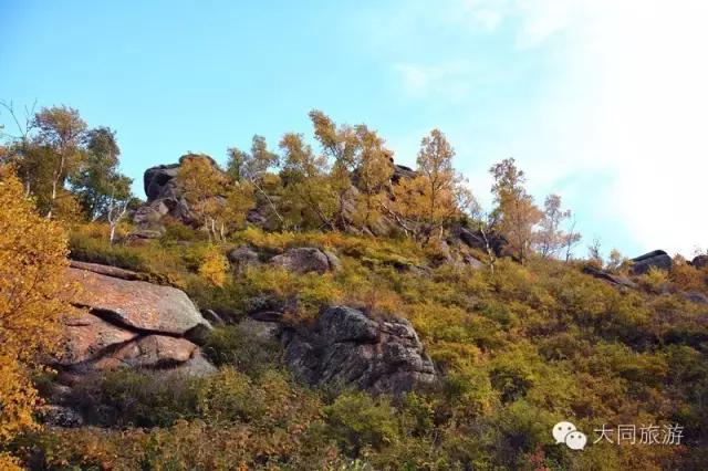 辉腾锡勒黄花沟风景,辉腾锡勒大草原黄花沟的美景