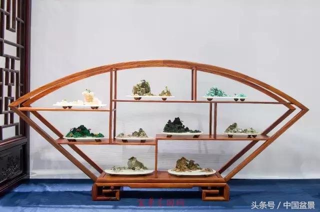 哪些野草适合微型盆景,小品盆景和微型盆景有区别吗