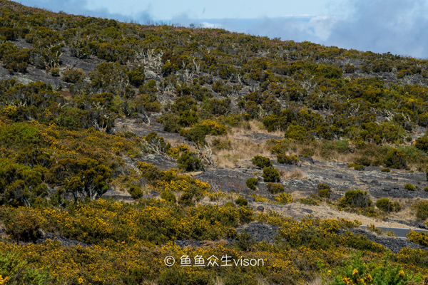 金银岛是真实存在的吗,金银岛神秘之谜