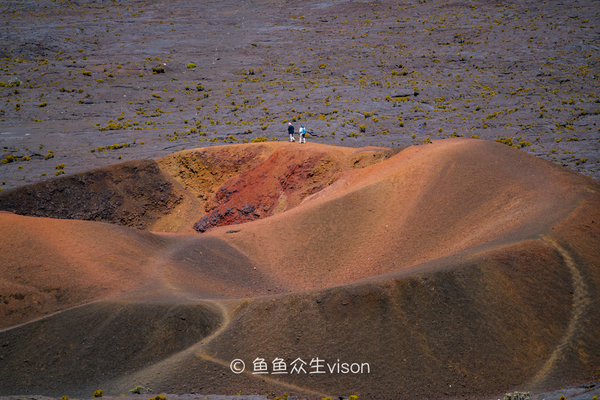 传说中的金银岛1993,金银岛宝藏传说是真的还是假的