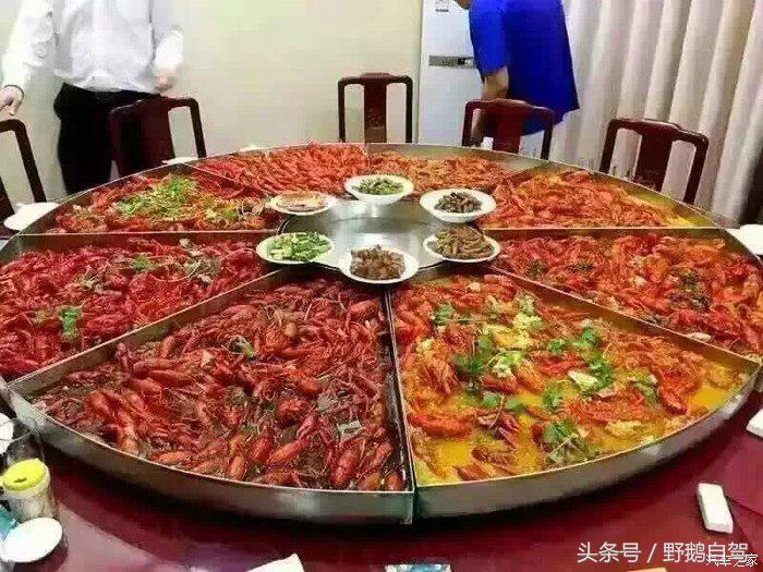 野鹅旅行,野鹅自驾无人区