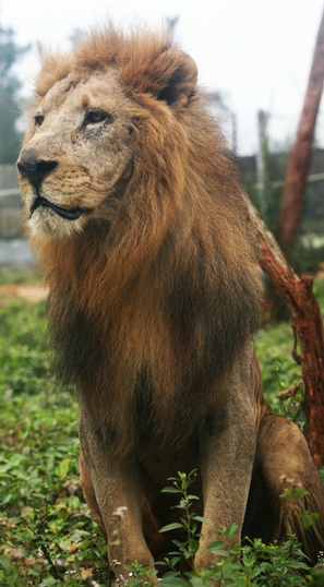 （自省）炉石宿舍英雄之“冒险篇”