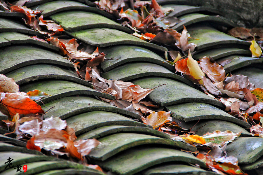 黔江小南海地震,黔江小南海地震遗址景区