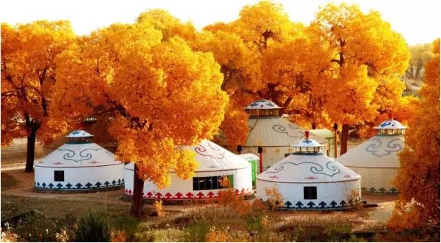 额济纳旗胡杨林旅游攻略住宿,额济纳旗胡杨林民宿住宿