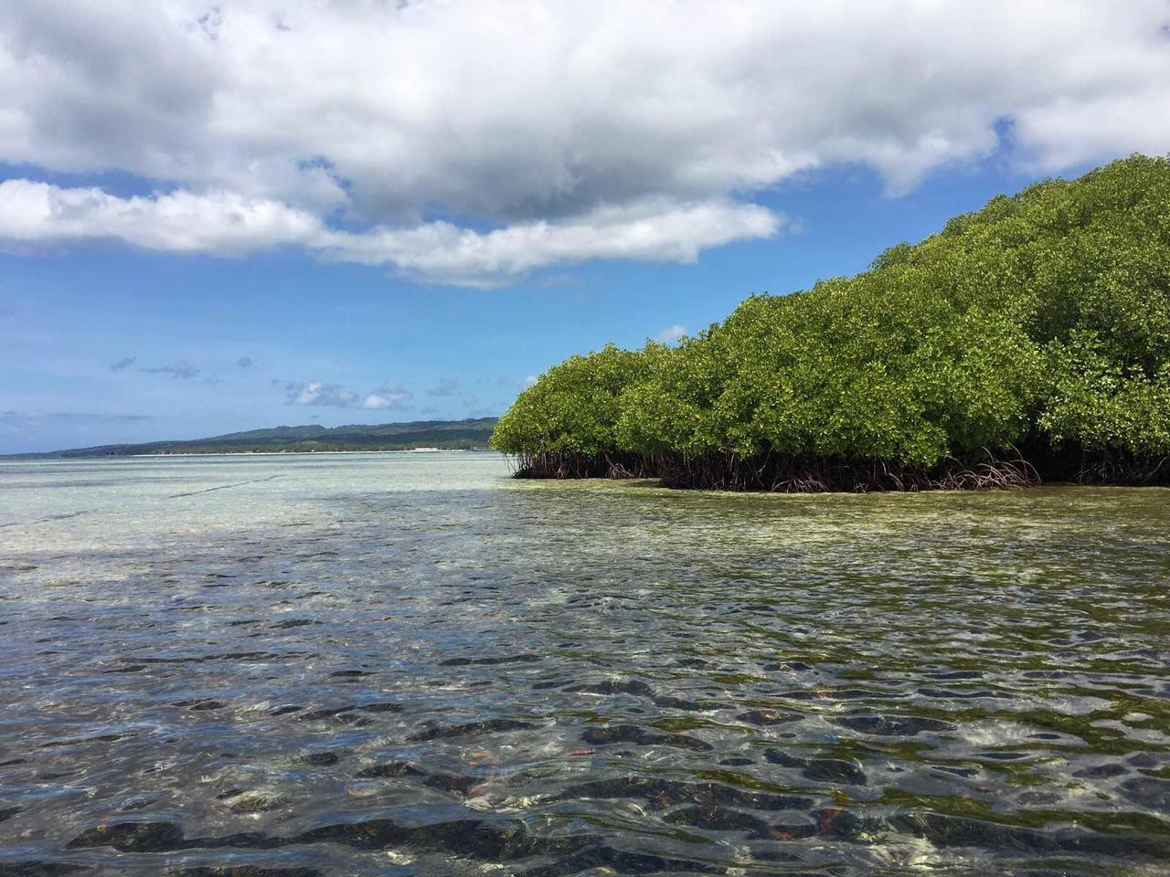 bali巴厘岛旅行记,巴厘岛baliswing