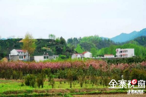 大别山中大金寨，这23个乡镇貌美如花，十一你不来？