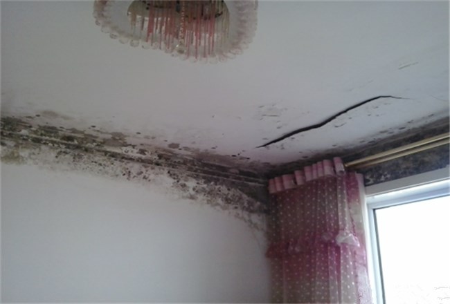 房顶发霉掉墙皮什么原因,房顶有水珠怎么解决