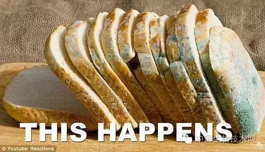 干面包怎么变松,干面包弄碎怎么处理