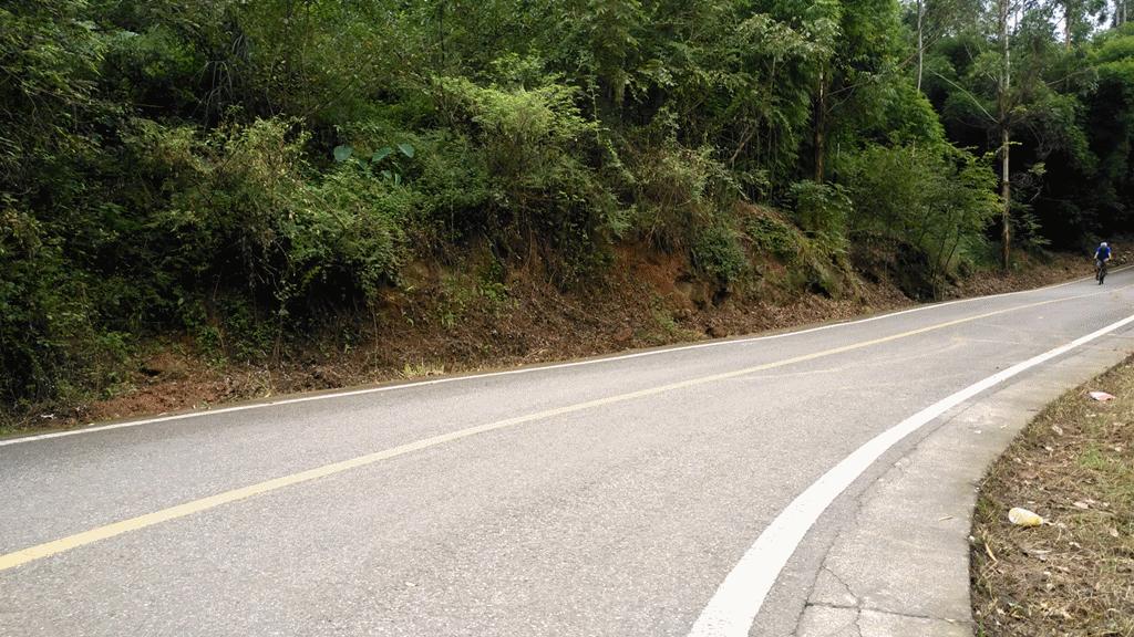 碳纤维4999,碳纤维车最便宜的车型