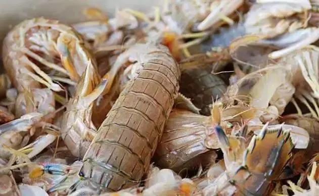 高铁沈阳到西安几小时,向美食出发