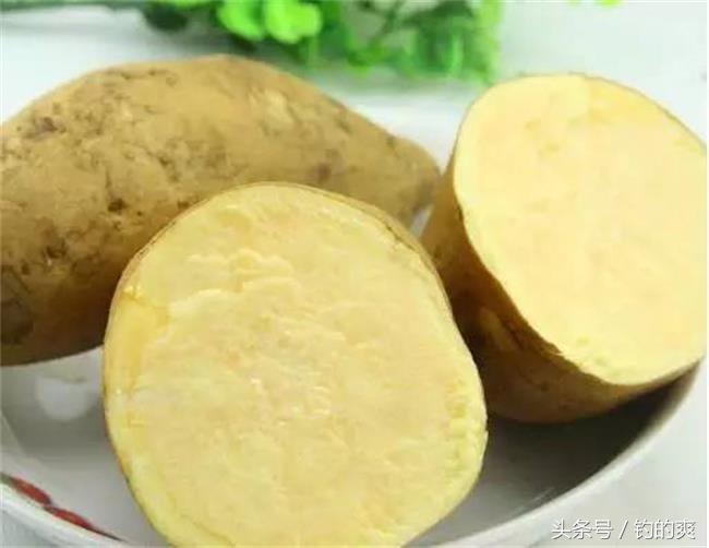 野钓用这五款天然饵料,钩尖江湖饵料靠谱吗