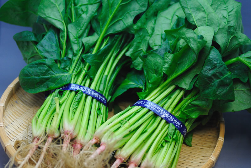 酒后不宜吃韭菜！蔬菜饮食禁忌多，这些你都知道吗？