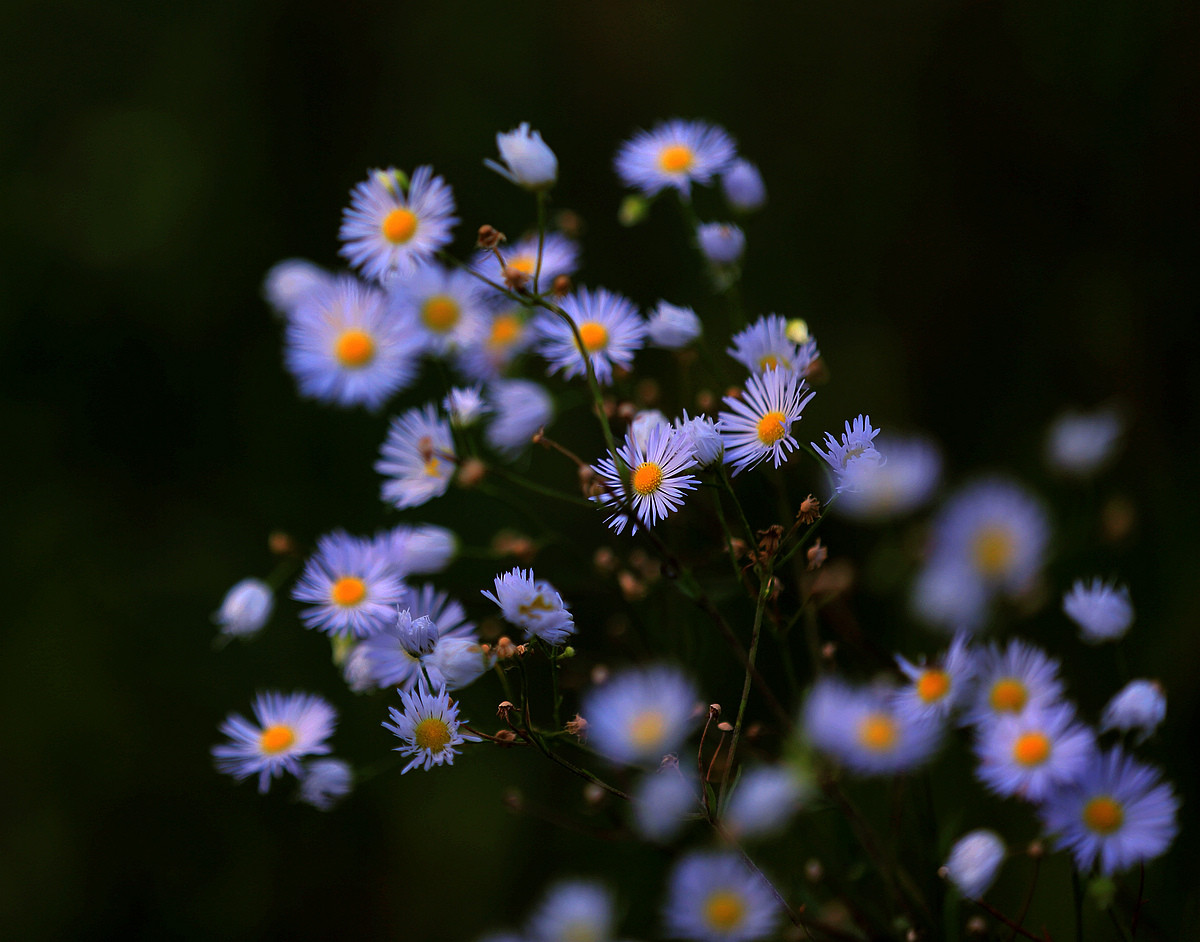 我写一首诗完美地告别九月，打开十月的那扇门