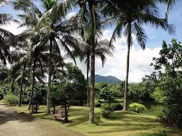 海南万宁国庆旅游攻略,万宁十大旅游必买品