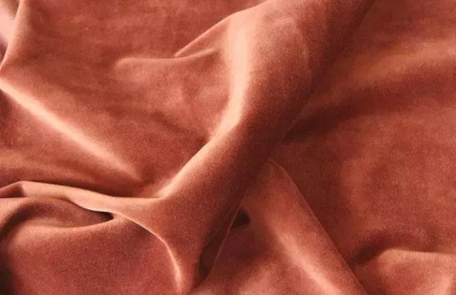 最有营养的葡萄品种,果香味浓郁的葡萄品种