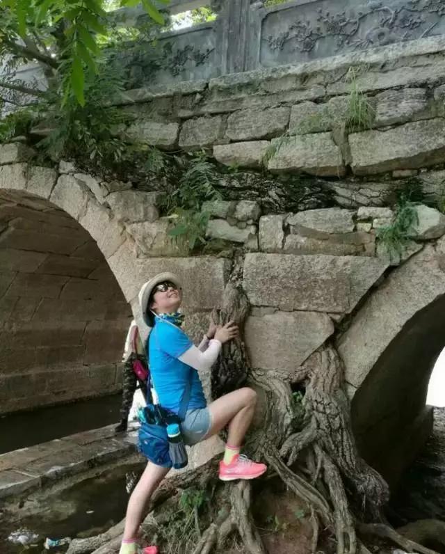 树驮桥的故事,树驮桥视频