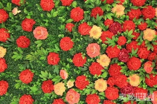 花团锦簇的意思,花团锦簇造句