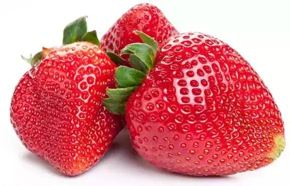 24种健康养生的食物,十种营养养生食物身体保健必备