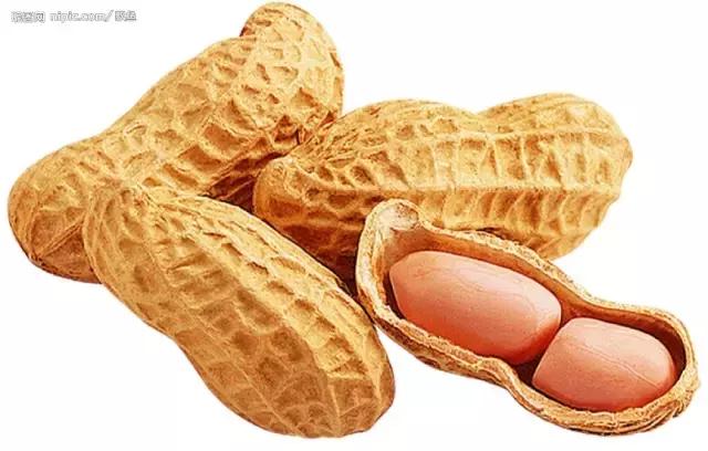 复卦卦象揭秘,周易八卦复卦的意义