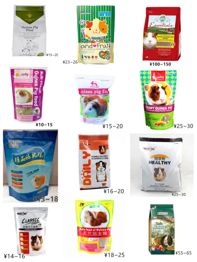 养一只荷兰猪需要花多少钱,养一只荷兰猪需要准备些什么