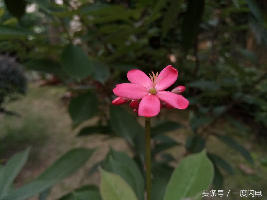 魅蓝手机u10,魅蓝u10白色