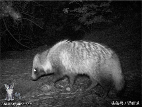 怀柔的北京生活,野性内蒙古